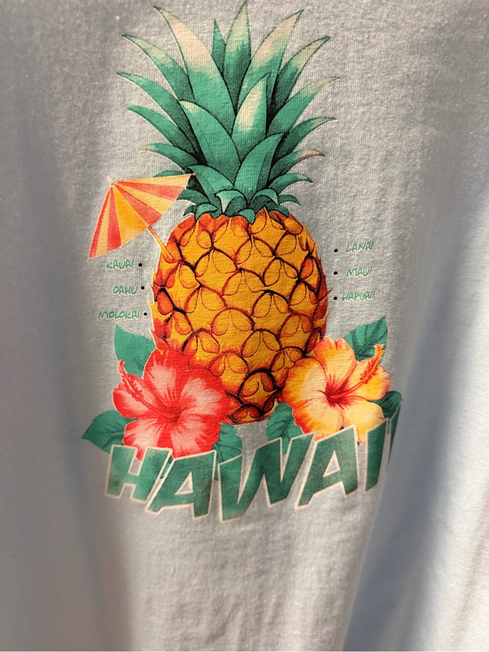New Women’s Large Hawaiian Pineapple Graphic Tee - came from Maui